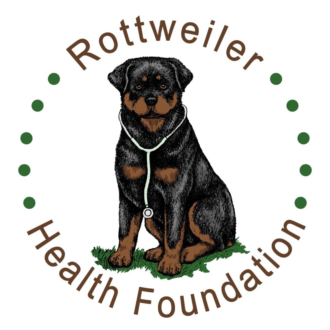 A dog sitting in front of the rottweiler health foundation logo.