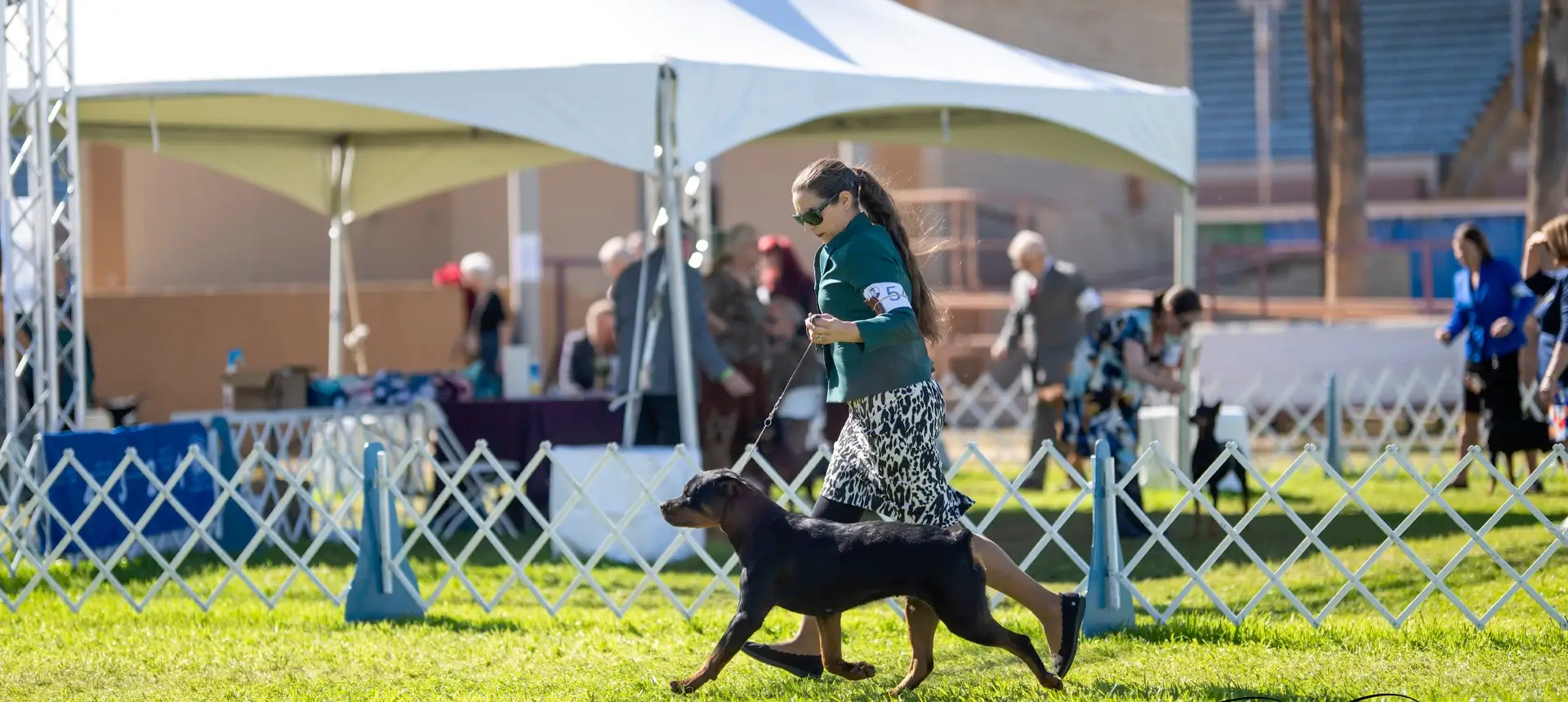 A woman walking her dog in the grass.