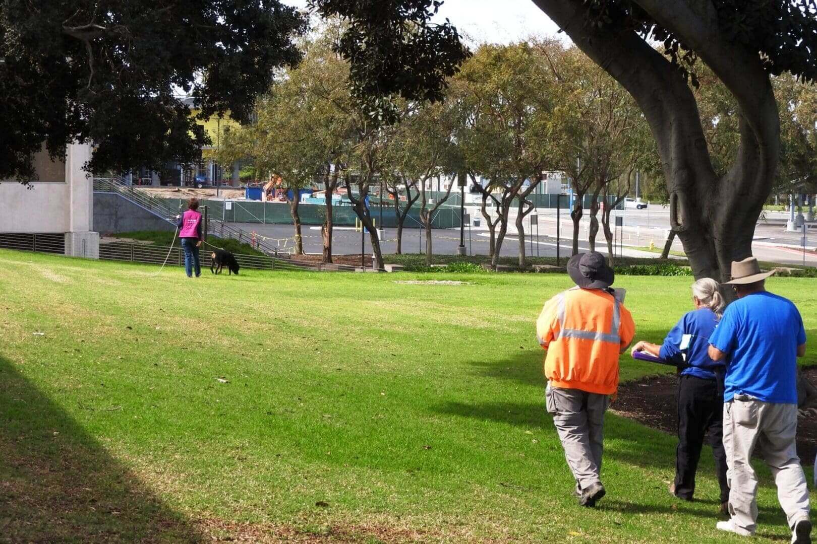 A group of people in the park playing frisbee.