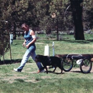 Woman and Rottweiler pulling cart outdoors.
