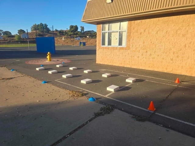 Agility course with white blocks and cones.