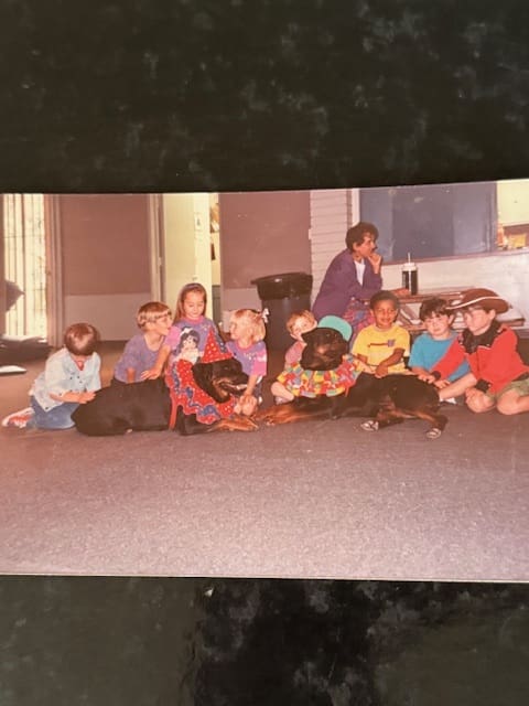 Children and dogs posing for a photo.