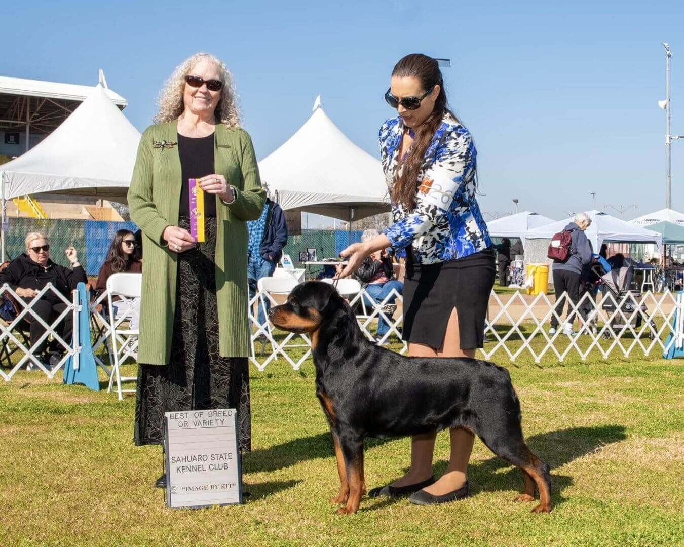 Rottweiler wins best of breed award.