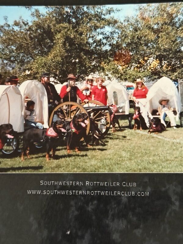Rottweilers and people in Civil War reenactment.