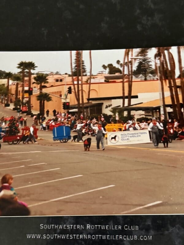 Parade Rottweilers, Southwestern club.