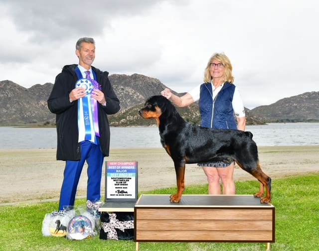 Dog show winner with owners and ribbons.
