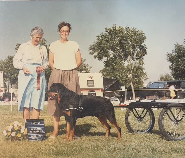 Dog carting competition with two women.