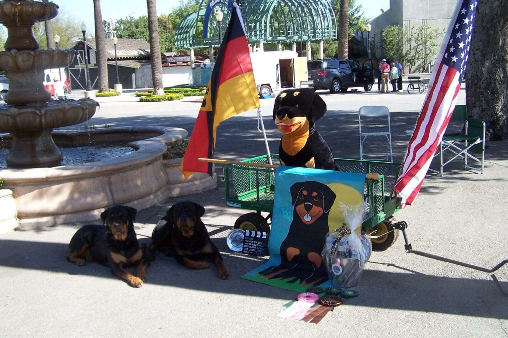 Rottweilers with flags and a fountain background.